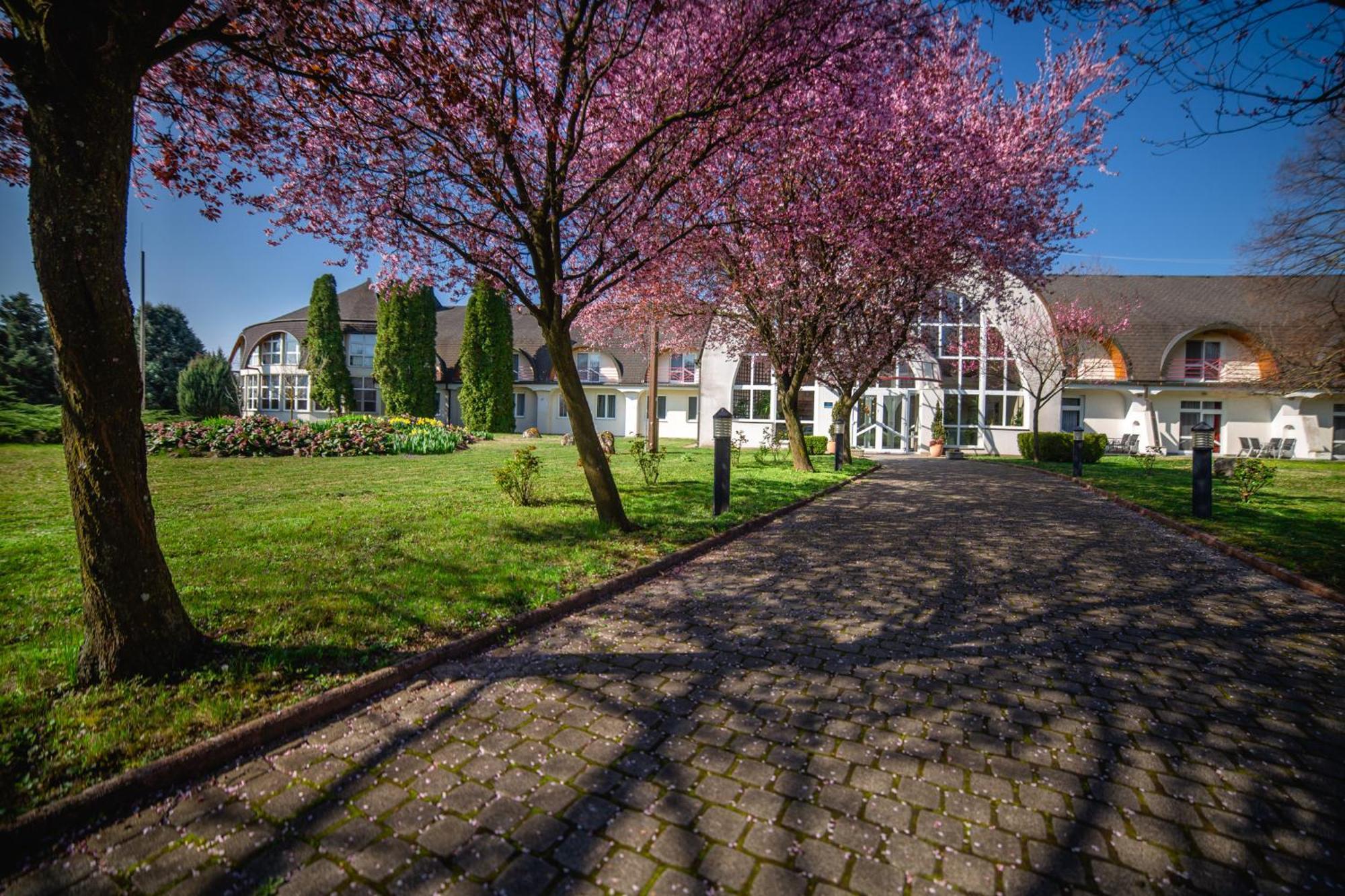 Hotel Ovit Кестхей Экстерьер фото