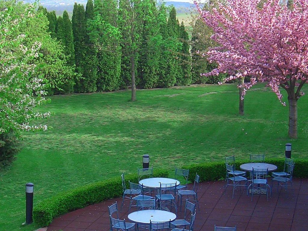 Hotel Ovit Кестхей Экстерьер фото